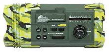 Радиоприёмник Ritmix RPR-707