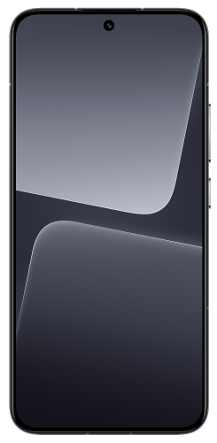 Смартфон Xiaomi 13 12/256GB RU Черный