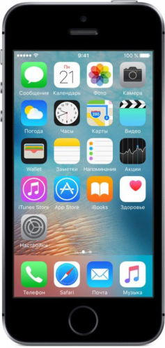 Смартфон Apple iPhone SE 64GB Серый космос