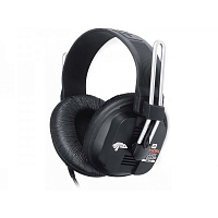 Полноразмерные наушники Fostex T40RP Mk2