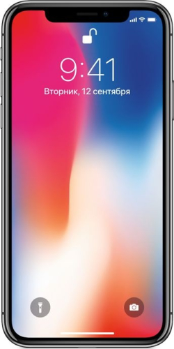 Смартфон Apple iPhone X 64GB Space Gray (Серый космос)