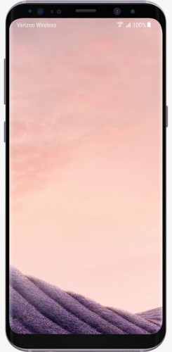 Смартфон Samsung Galaxy S8 (SM-G950FD) 64GB Розовый