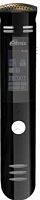 Диктофон Ritmix RR-190 8Gb