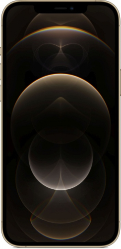 Смартфон Apple iPhone 12 Pro Max 256GB RU Gold (Золотой)